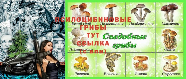крисы Няндома