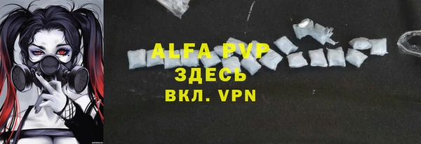 крисы Няндома