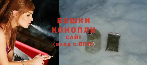 крисы Няндома